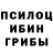Псилоцибиновые грибы Psilocybine cubensis 4Life Project