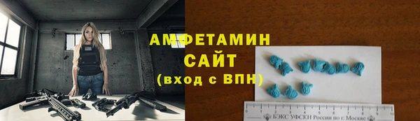 мдпв Богородицк