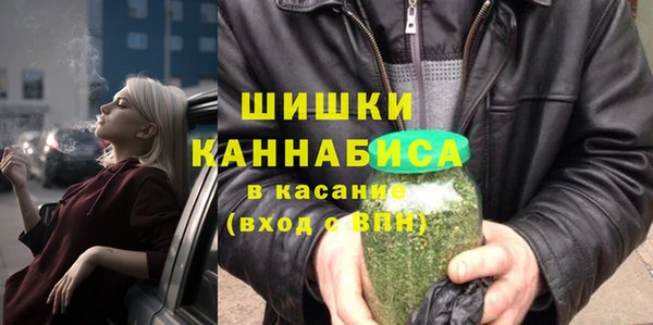мдпв Богородицк